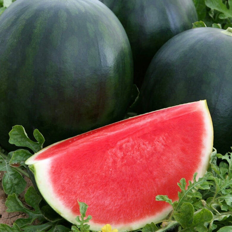 Arbūzi Rosario F1, 10 sēklas